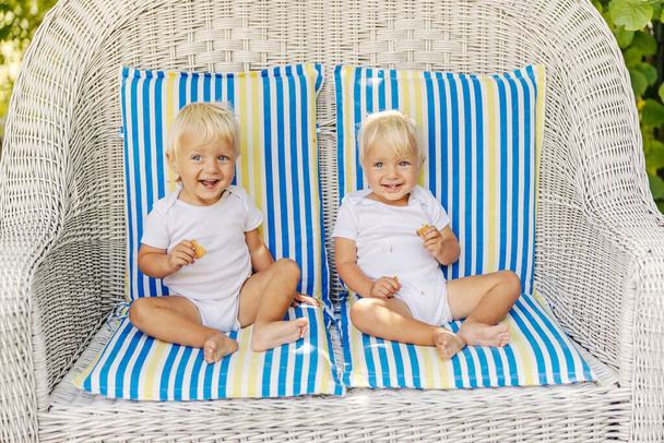 Gémeos doces, uma família cheia de amor. Os bebês bonitos nos bodysuits brancos gostam de comer biscoitos e enquanto se sentam em uma grande cadeira de lona com almofadas coloridas. Gêmeos com olhos azuis e cabelo loiro - Foto, Imagem