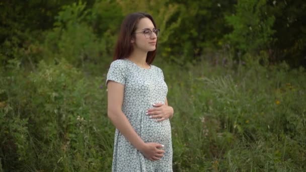 Μια νεαρή έγκυος γυναίκα στέκεται και κρατάει την κοιλιά της με τα χέρια της. Κορίτσι με γυαλιά και φόρεμα στη φύση. - Πλάνα, βίντεο