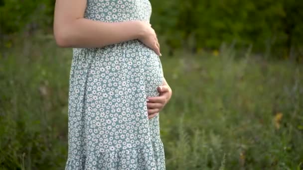 Una giovane donna incinta si alza in piedi e tiene la pancia con le mani. Ragazza in un vestito in natura. - Filmati, video
