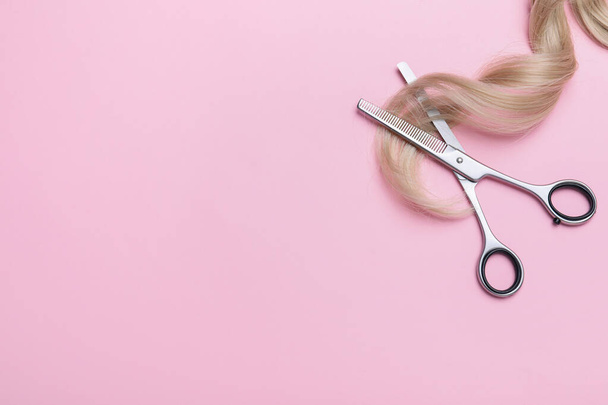 Professional hairdresser thinning scissors and hair strand on pink background, flat lay with space for text. Haircut tool - 写真・画像
