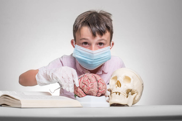 Un ritratto di un ragazzo caucasico con una maschera, che tiene il modello di cervello, seduto a tavola con un teschio e un libro, isolato sullo sfondo grigio - Foto, immagini