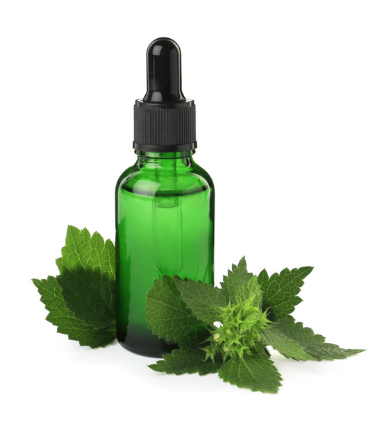 Glass bottle of nettle oil with dropper and leaves isolated on white - Photo, Image