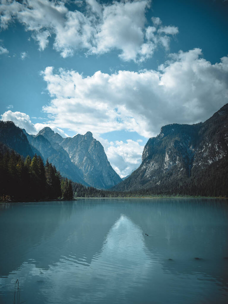 great view on the dobbiaco lake, in trentino - 写真・画像
