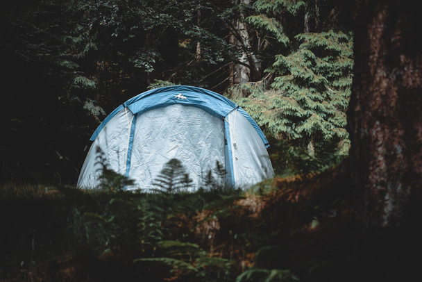 fantastinen retkeilypäivä teltassa - Valokuva, kuva
