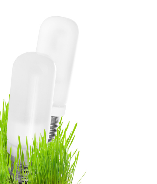 Light bulb on grass - Foto, immagini