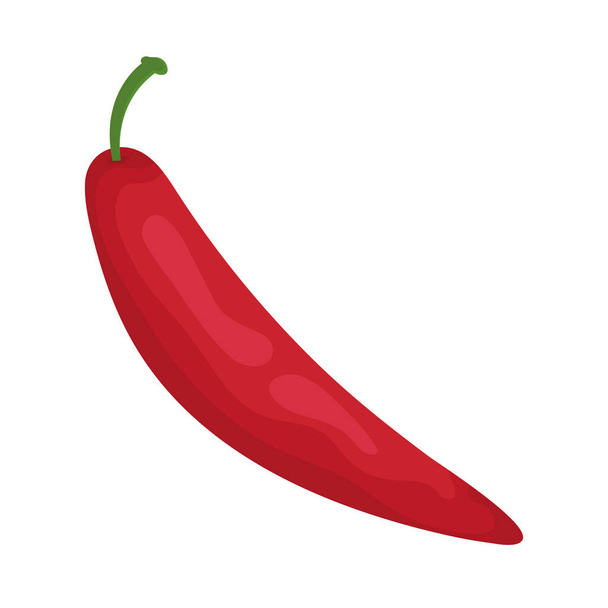 chili pepper vegetable - Vector, Image