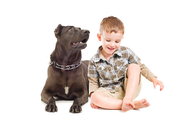 Laughing cute boy and big dog sitting together - Photo, image