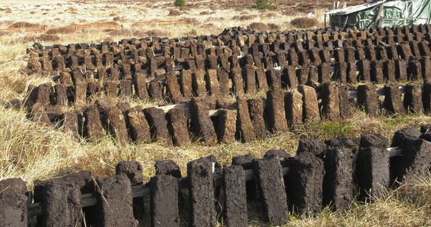 Torfschneiden mit dem Spaten in einem Moor in Irland  - Foto, Bild