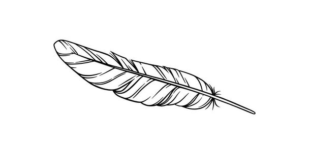 Bird feather for a dreamcatcher. Sketch feather illustration for a tattoo design. Vector illustration - Вектор,изображение