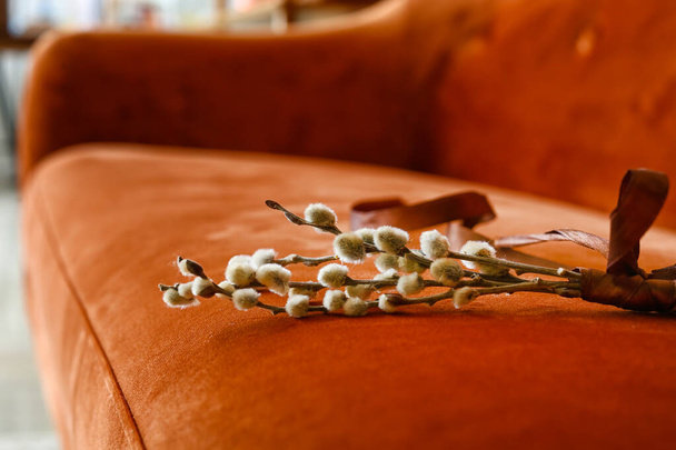 Willow branches on sofa in room - Photo, Image