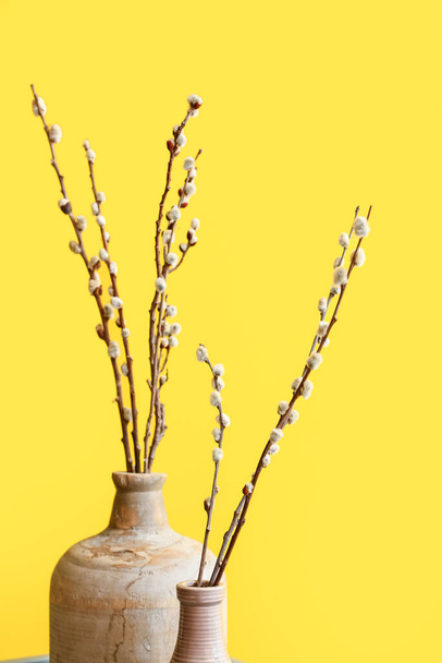 Vases avec branches de saule sur fond de couleur - Photo, image