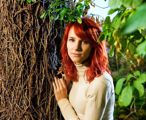 piękne rude dziewczyny w lesie - Zdjęcie, obraz