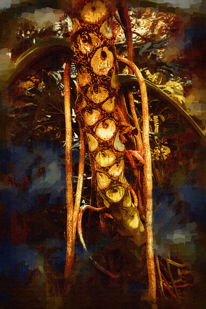 Kalp şeklinde iki renkli Philodendron sabanı nadir bulunan egzotik yağmur ormanları bitkisi eğreltiotu ve tropikal yaprak çeşitleri ile süs bahçesinde, illüstrasyon, çizim, çizim, antika, retro, vintage. - Fotoğraf, Görsel