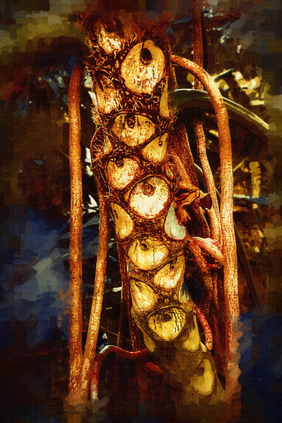 Hartvormige bicolors bladeren van Philodendron ploegen manii de zeldzame exotische regenwoudplant met bosvarens en variëteiten van tropische gebladerte planten in siertuin, illustratie, tekening, schets, antiek, retro, vintage. - Foto, afbeelding