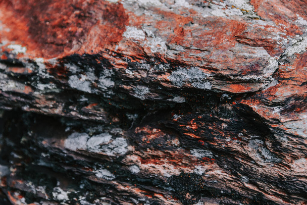 A closeup shot of a stone textured surface - Фото, зображення