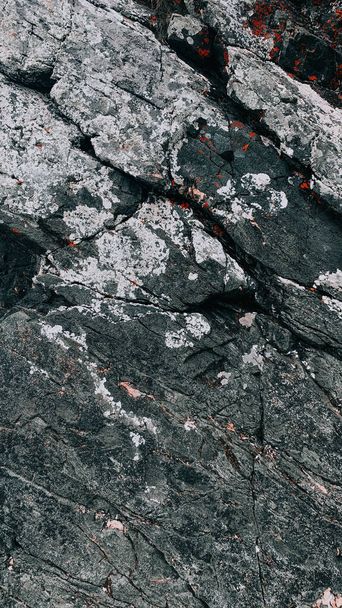 A vertical closeup shot of a stone textured surface - Фото, зображення