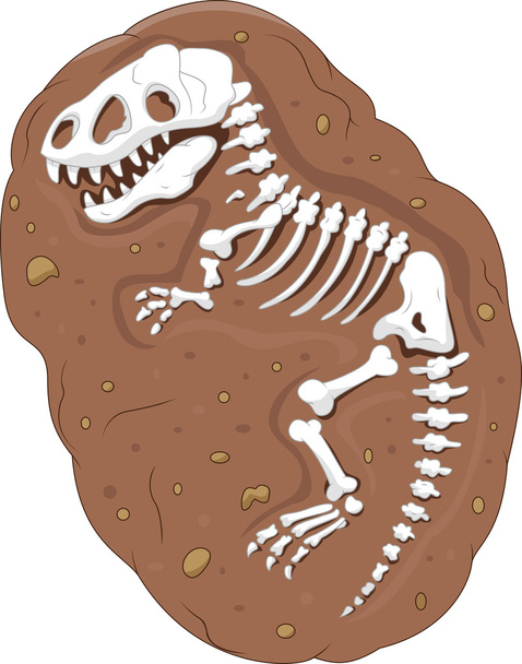 fósiles de tiranosaurio rex - Vector, Imagen