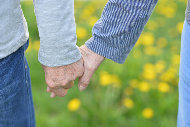 elderly couple holding hands in autumn park - Photo, image