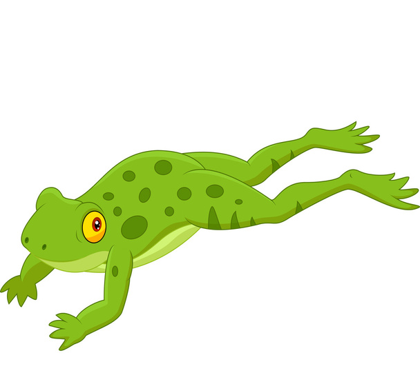 roztomilá skákací žába - Vektor, obrázek