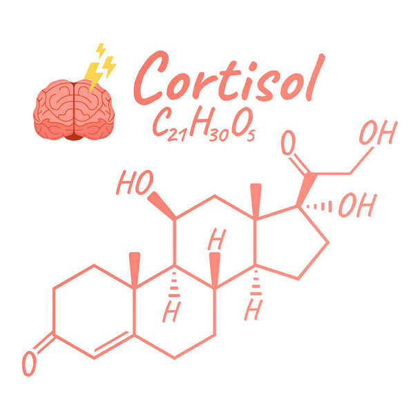 Emberi hormon kortizol koncepció kémiai csontváz képlet ikon címke, szöveges betűtípus vektor illusztráció, elszigetelt fehér. Időszakos elemtáblázat. Egészséges életmód endokrin rendszer. - Vektor, kép