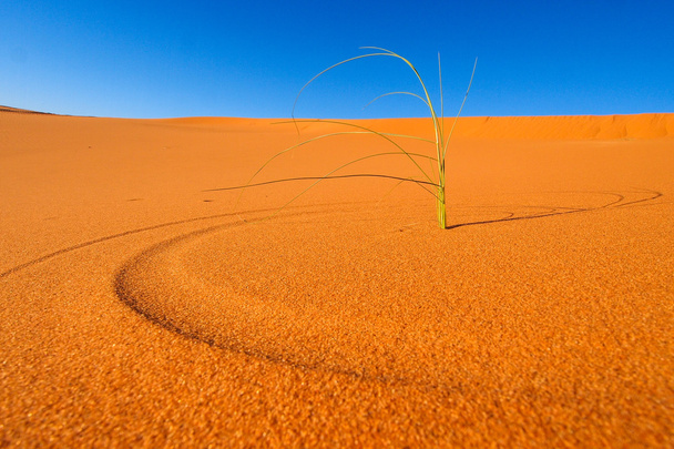 Sand dunes - Photo, Image