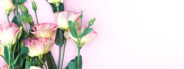 Krásná eustoma květiny na růžovém pozadí. Pro text je volné místo. Slavnostní pohlednice. - Fotografie, Obrázek