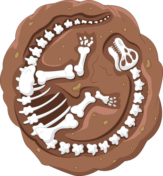 Sarjakuva dinosaurus fossiili
 - Vektori, kuva