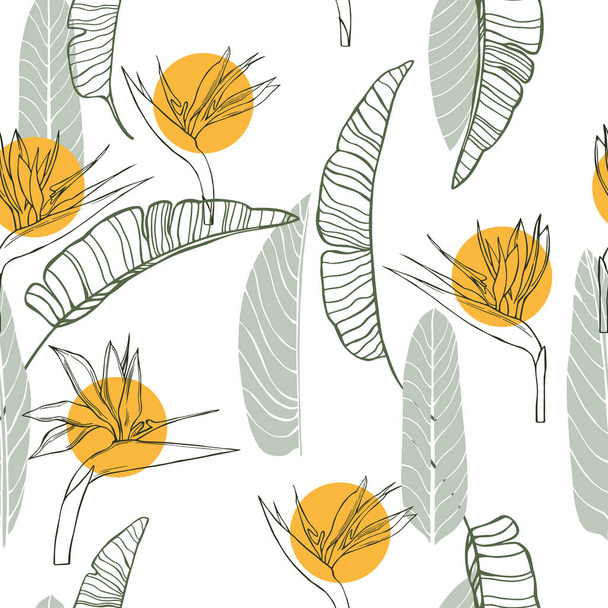 Hand  drawn tropical plants.  Vector seamless pattern with strelitzia flowers. - Vector, Image