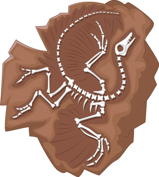 始祖鳥の化石 - ベクター画像