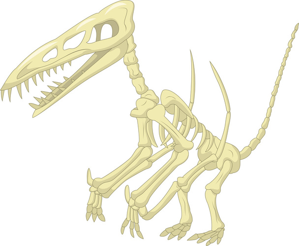pteronodon skelet - ベクター画像