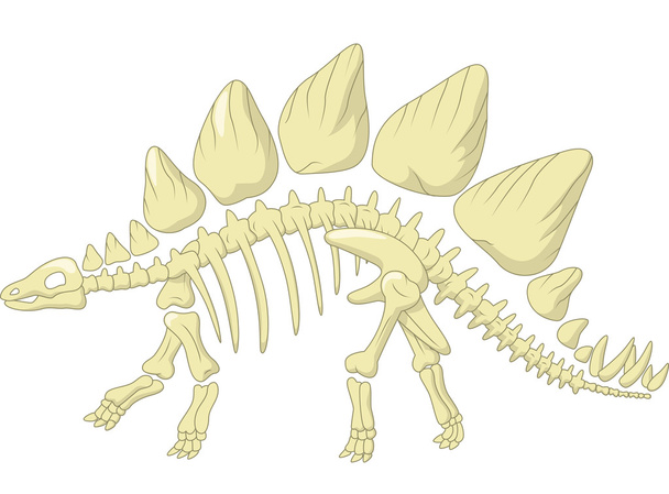 Stegosauruksen luuranko
 - Vektori, kuva