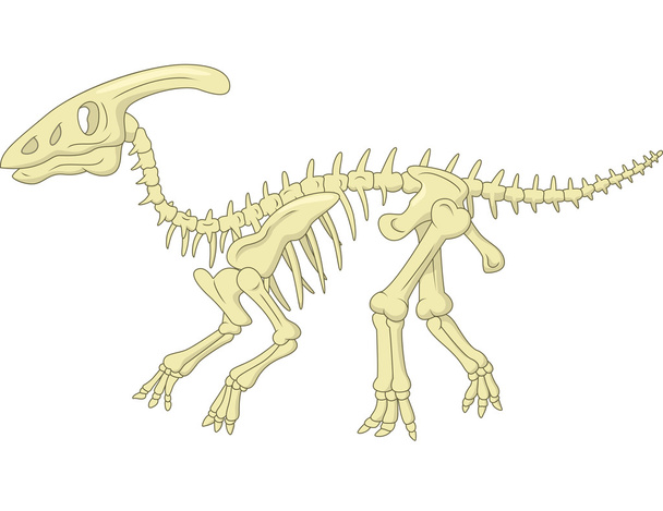 Parasaurolophusin luuranko
 - Vektori, kuva