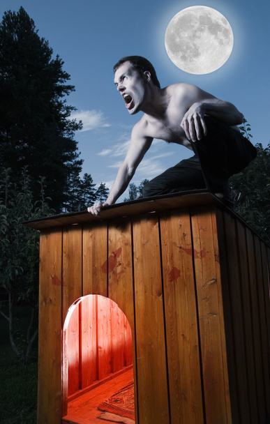 Scary man sitting on a doghouse and turning into werewolf - Photo, Image