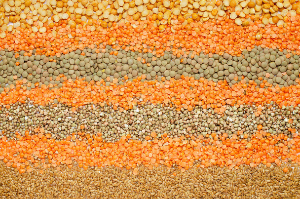 Group of dry organic cereal and grain seed stripe background consisted of soybean, lentil, buckwheat, and flax seed - Photo, Image