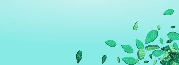 Olive Greens Swirl Vector Panoramic Blue Background Banner. Tea Leaf Concept. Lime Leaves Transparent Pattern. Foliage Fly Template. - Foto, Imagen
