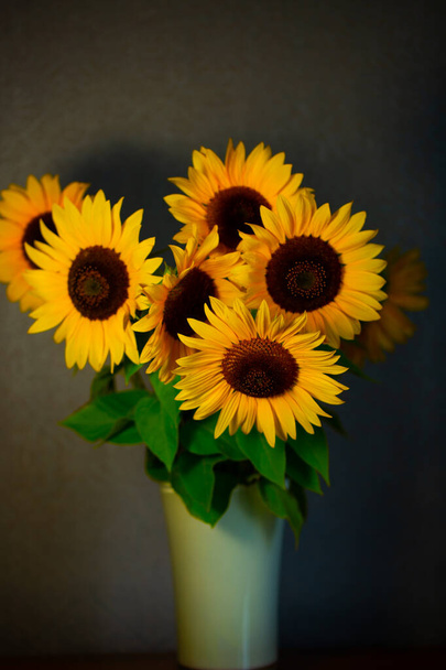 Słoneczniki w wazonie, szare tło - Zdjęcie, obraz