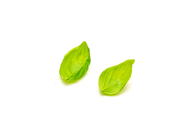 Dos hojas de albahaca dulce italiana Ocimum basilicum aisladas sobre fondo blanco. Hojas de hierbas orgánicas frescas cortadas del jardín - Foto, imagen