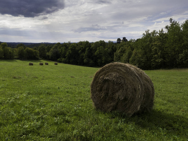 Paysage avec balles de foin roulé dans le champ près de la forêt par temps couvert en été - Photo, image