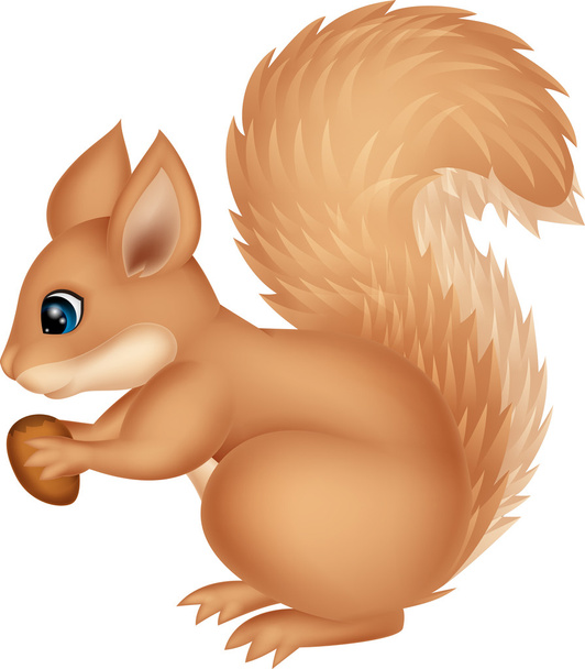 Squirrel  holding nut - Vector, Image