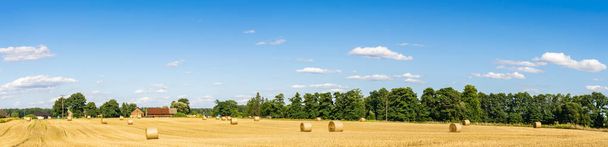 farmland on a beautiful sunny day against the background of blue sky - Photo, Image