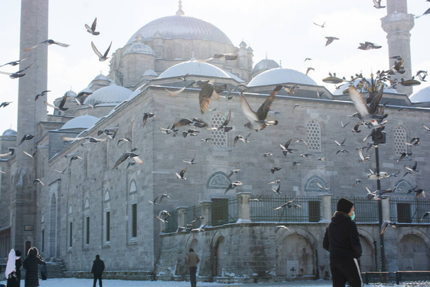 Голубь летает вокруг мечети минаретов - Фото, изображение