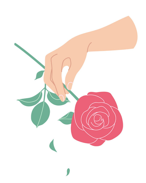 Female hand holding branch of blooming rose. Simple woman hand with red flower isolated on white background.  Romantic floral design element. Vector flat illustration. - Vektör, Görsel