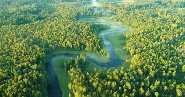 Aerial view of natural river during morning - Filmati, video