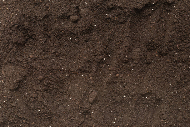 Black land for plant background. Top view. Ground pattern.  - Foto, Imagem