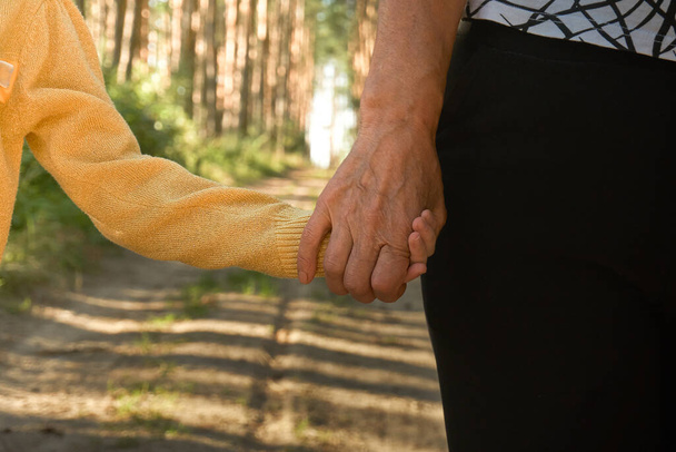 二人は手を取り合い、年配の若い世代は手を取り合い、祖母と孫娘は手を取り合う。新鮮な空気の中で公園を歩く - 写真・画像