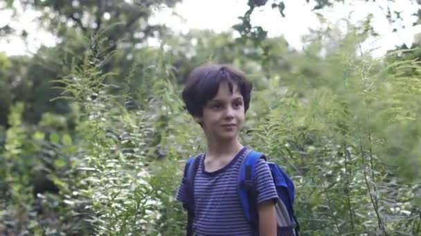 Chłopiec z plecakiem spaceruje po lesie, dziecko odkrywa dziką przyrodę, dziecko stoi samotnie pośród drzew, portret chłopca - Materiał filmowy, wideo