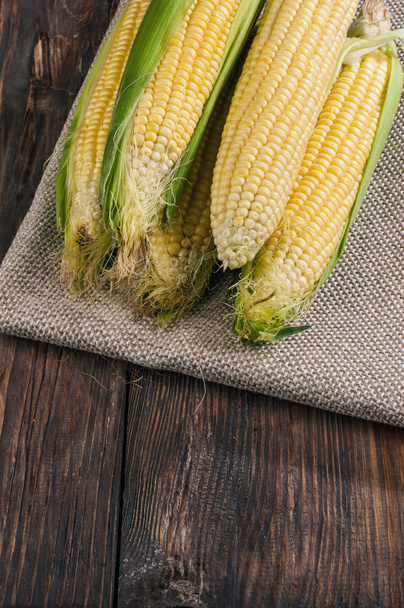 Corn - Photo, image
