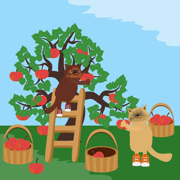 cute cats in the garden picking red apples  - Vector, afbeelding