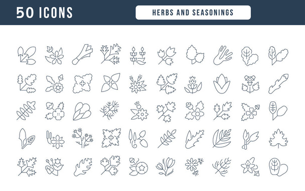 Herbs and Seasonings. Collection of perfectly thin icons for web design, app, and the most modern projects. The kit of signs for category Food and Drink. - Vector, Image