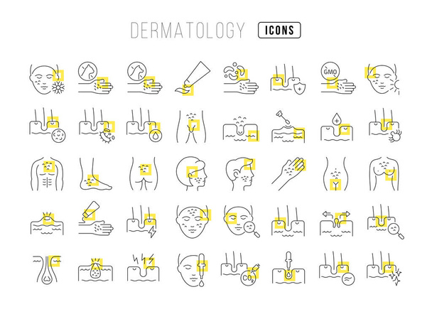 Dermatologia. Collezione di icone perfettamente sottili per il web design, app e i progetti più moderni. Il kit di segni per la categoria Medicina. - Vettoriali, immagini